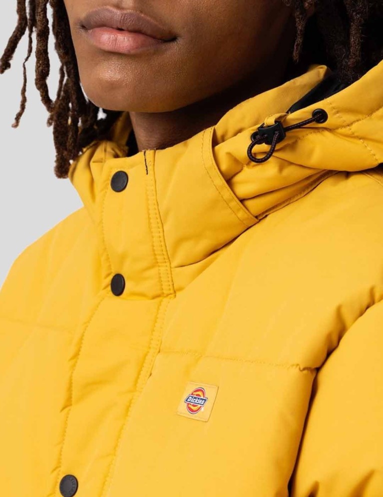 Caçador DICKIES glacier view puffer honey gold